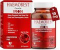 HealthBest High Potency Gentle Iron Capsules 19mg |Slow Release Iron for Faster Absorption Non-Constipating| Vitamin C B12 Folate Zinc &amp Selenium for Anemia Hemoglobin &amp Immune Support |60