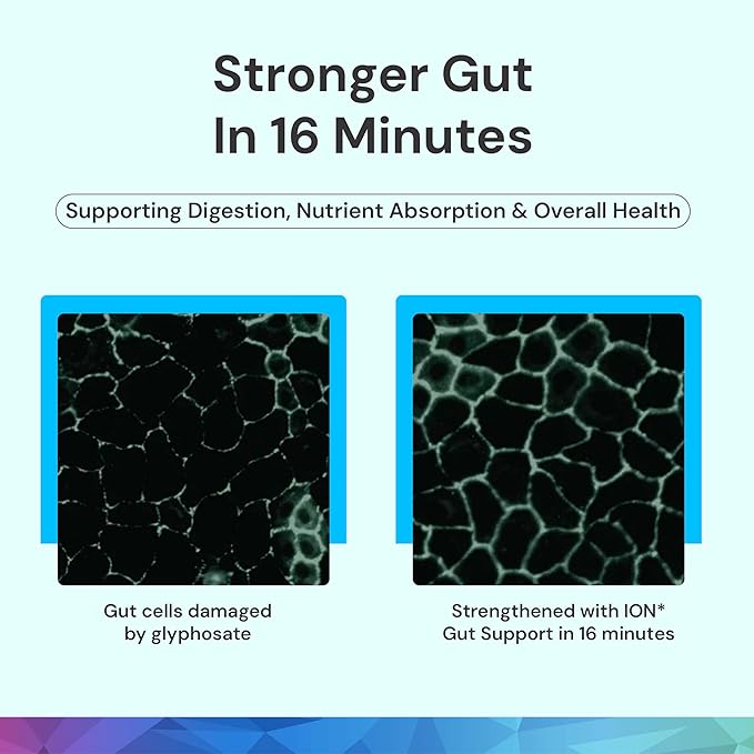 ION* Intelligence of Nature Gut Support Liquid Supplement - Gut &amp Digestive Health Liquid Drops Cleanse &amp Detox with Humic Extract for Women &amp Men Adults &amp Kids 4+ - 32 fl oz (Pack o