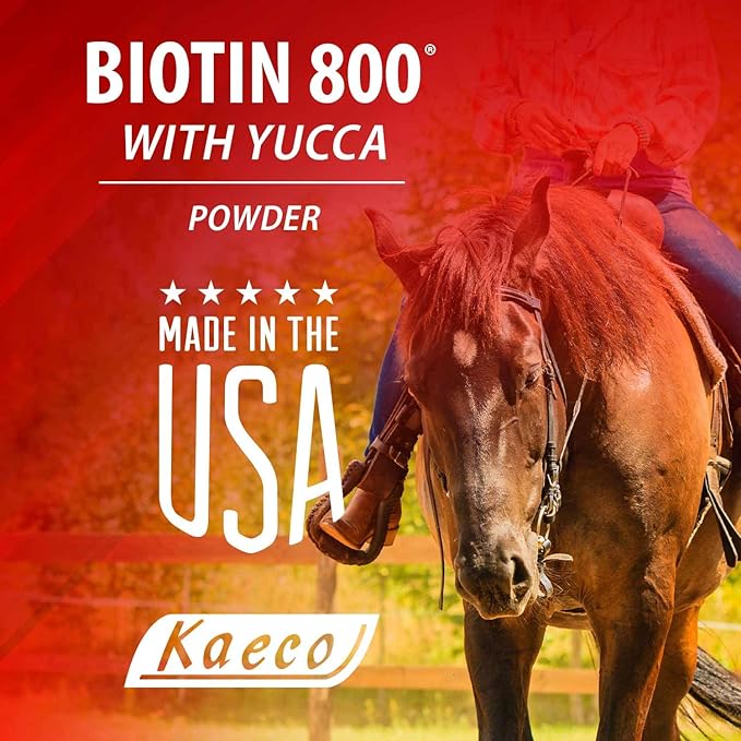 BIOTIN 800 Powder 6LB D/S