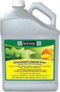 Fertilome Chelated Liquid Iron 1 Gallon