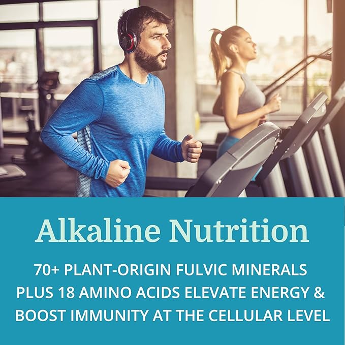 Morter Trace Minerals in Colloidal Suspension (3 Pack) Morter HealthSystem Best Process Alkaline — Nutrient Dense Trace Elements Fulvic Minerals &amp Amino Acids