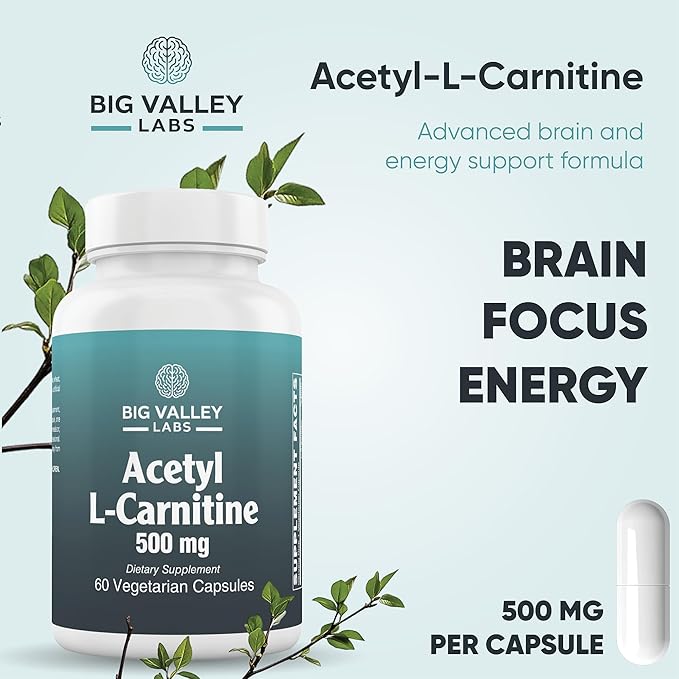 Acetyl-L-Carnitine 500 mg – Highly Bioavailable ALCAR for Cellular Energy &amp Wellness – Vegan Non-GMO Gluten-Free – 60 Veg Capsules