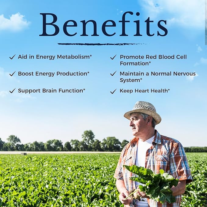 Vitalitown Vitamin B12 (Methyl B12) 5000 mcg Fully Bioactive Form Support Energy Production Natural Peach Flavor Zero Sugar 240 Fast Dissolve Tablets