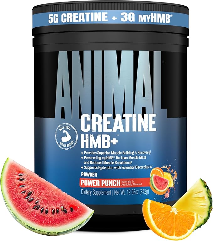 Animal Creatine HMB Powder – 3g myHMB + 5g Creatine with Electrolytes for Recovery &amp Daily Energy – Power Punch Flavor 30 Servings