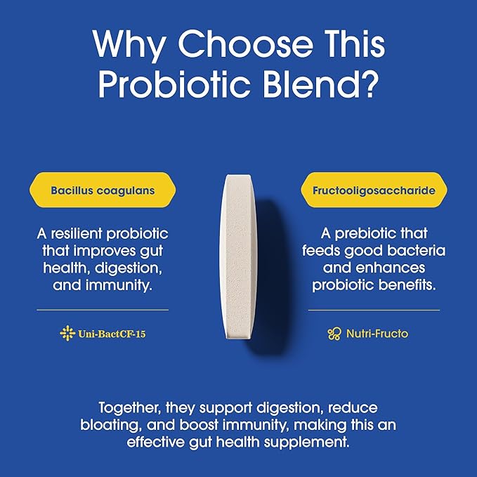 Nutrition Essentials Probiotics for Women and Men with Natural Lactase Enzyme &amp Prebiotic Fiber for Digestive Health - 80percent + Stronger Supplement for Gut Health Support - 6 Count of 60 Tablet