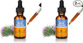 Herb Pharm Milk Thistle Seed Liquid Extract for Liver Function Support - 1 Ounce (Pack of 2)