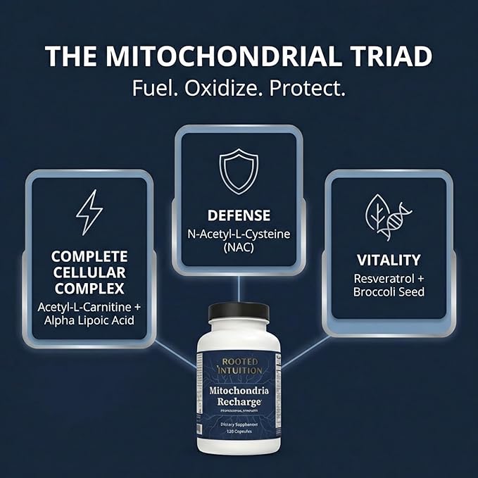 Rooted Miltivitamin with Brain Supplements for Memory and Focus | Energy Vitamins for Men and Women | Brain Health Support &amp Mental Clarity | Cognitive Booster | Mitochondria Recharge | 120 Capsul