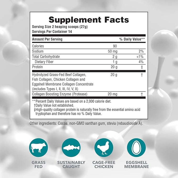 NaturesPlus Collagen Peptides Chocolate - 0.83 lb Powder - Hair Skin Nail &amp Joint Health Immune System Support - Non-GMO Gluten Free - 14 Servings