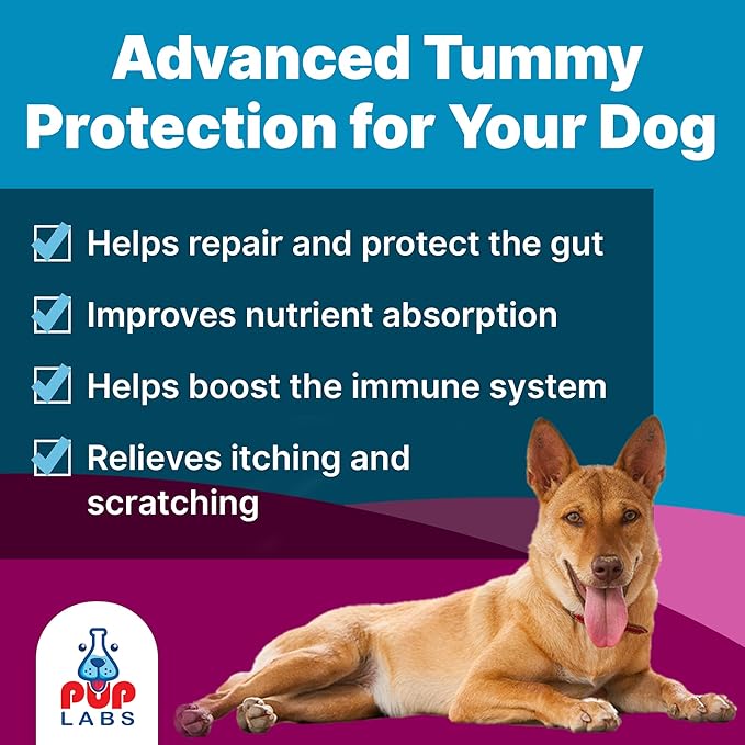 K9 Belly Bliss All-Natural Gut Health for Dogs Vet Approved Prebiotic for Dogs for Daily Digestive Support and Dog Constipation Relief Easy to Use Topper for Dry and Wet Food 30 Scoops.