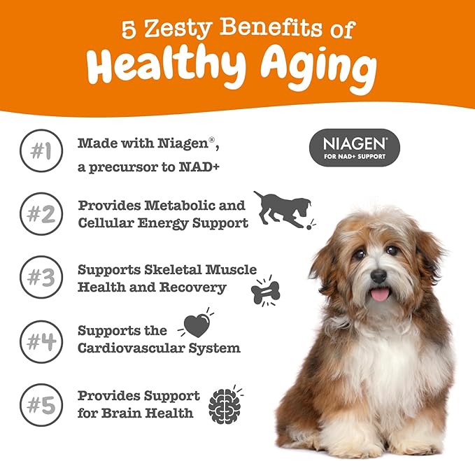Zesty Paws NAD+ Precursor Supplement for Dogs - Niagen for Healthy Aging &amp Skeletal Muscle Support &amp Recovery - Brain Heart &amp Cellular Energy Support - Nicotinamide Riboside Chloride – 3