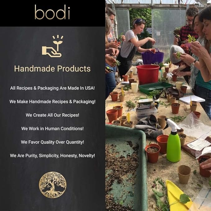 bodi : Turmeric Root 95% Curcuminoid Powder | 2oz to 5lb | 100% Pure Natural Hand Crafted (2 oz)