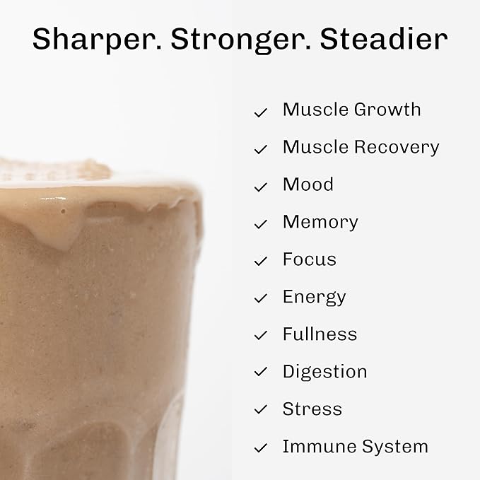 MUDWTR Nourish | Vanilla Mushroom Protein Powder | 2000mg Adaptogenic Mushrooms | Vegan Protein Powder | USDA Organic | Focus Mood &amp Digestion Support | Vanilla Lion's Mane Bacopa | 15 Serving