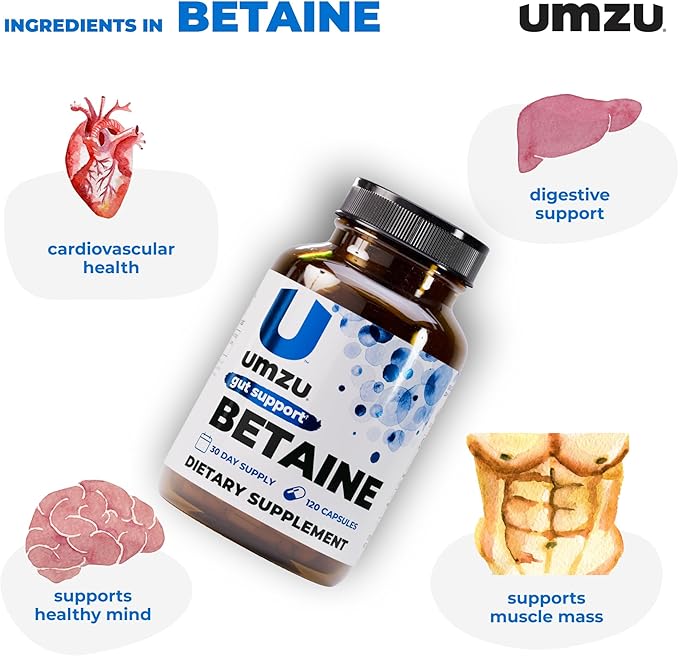 UMZU Betaine HCl Digestive Support Supplement (60 Day Supply) – with Betaine Hydrochloride Formula – Betaine HCl for Digestive Health &amp Gut Comfort Daily Digestive Wellness Support System Formula