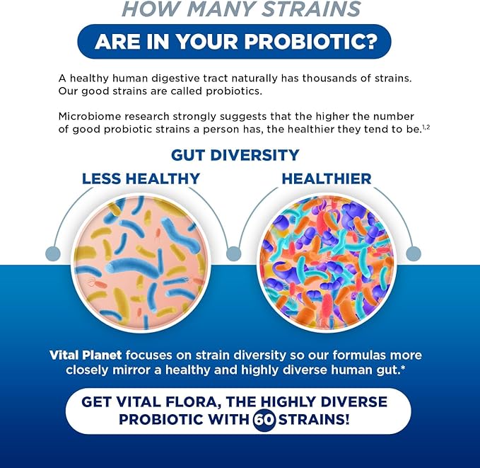 Vital Planet - Vital Flora Adults Over 55 Daily Probiotic 60 Billion CFU Diverse Strains Organic Prebiotics Immune Support Gas Relief Digestive Health Probiotics for Women and Men 60 Capsules