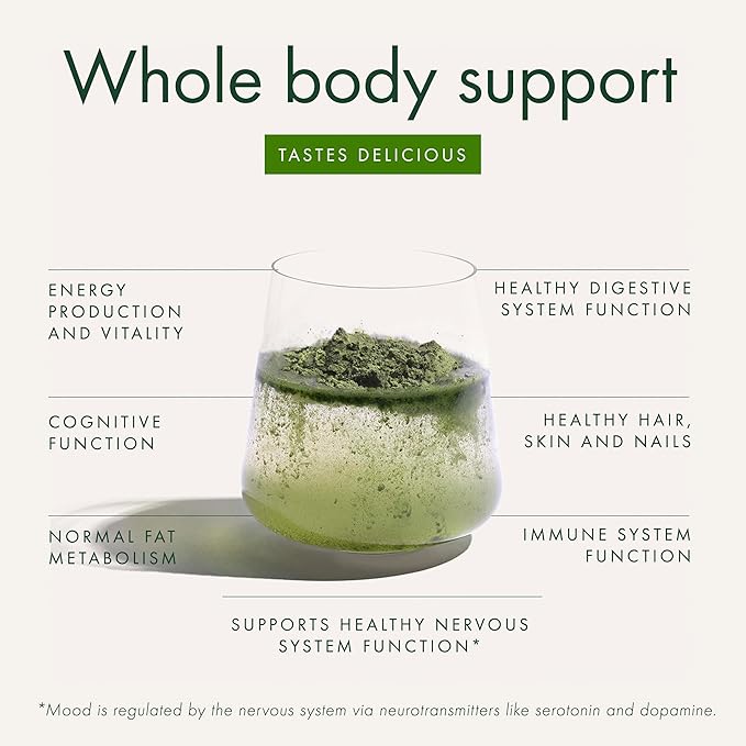 WelleCo The Super Elixir Daily Greens Powder Probiotic Drink Mix with Whole Foods Gluten Free Vegan Gut Health Powder Energy Immunity Healthy Skin Hair &amp Nails (Jar Pineapple &amp Lime Ja