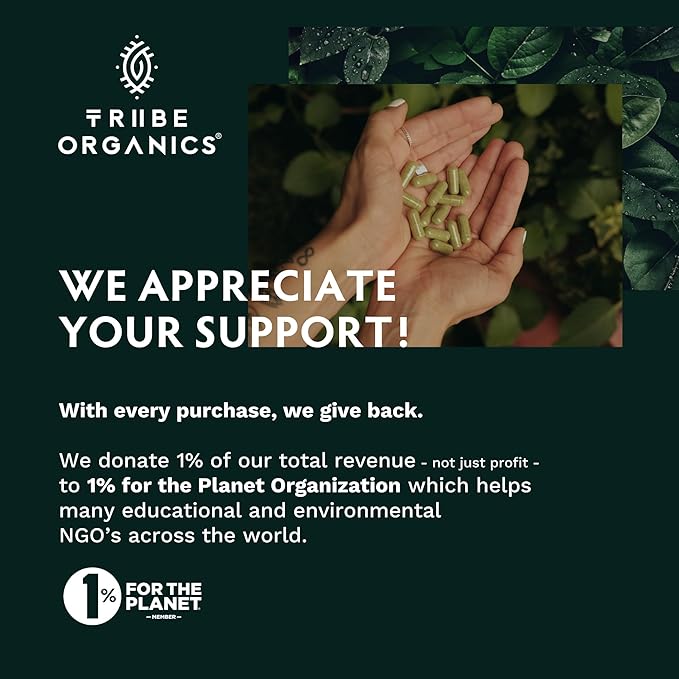 TRIBE ORGANICS NOOTROPIC Duo - KSM66 Ashwagandha + Organic Lion's Mane - Beyond Focus Mind Awareness and Mind Health