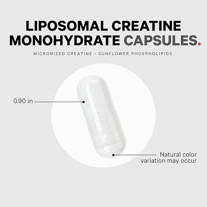 Codeage Liposomal Creatine Monohydrate Supplement Pure Creatine 2500mg - 3 Months Supply Micronized Creatinine Muscles Sports Nutrition and Athletes Non-GMO - 360 Capsules
