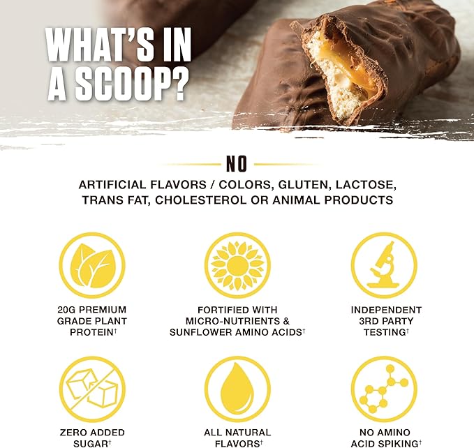 Ambrosia Planta - Premium Plant-Based Protein | Vegan &amp Keto Friendly | Gourmet Flavors with No Bloating or Stomach Upset | Gluten &amp Soy Free | No Added Sugar | 14 Servings | (Candy Bar)