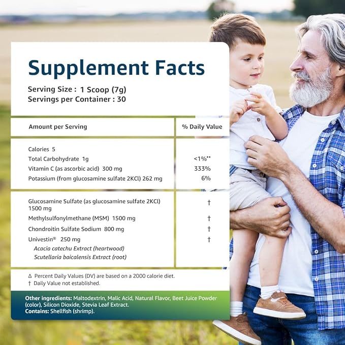 Univera RegeniCARE Green Apple Glucosamine Chondroitin MSM Univestin Joint Health Joint Support Mobility + Flexibility Green Apple Flavor Powder 30-Day Supply
