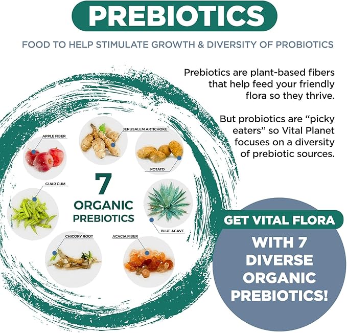 Vital Planet - Vital Flora Men Over 55 Daily Probiotic 60 Billion CFU Diverse Strains Organic Prebiotics Immune Support Digestive Health Shelf Stable Probiotics for Men 30 Capsules