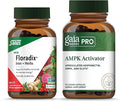 Floradix Iron + Herbs - Iron Supplement for Healthy Energy Support* &amp Gaia Herbs PRO AMPK Activator - Supports Cellular Energy - Bundle (Pack of 2)