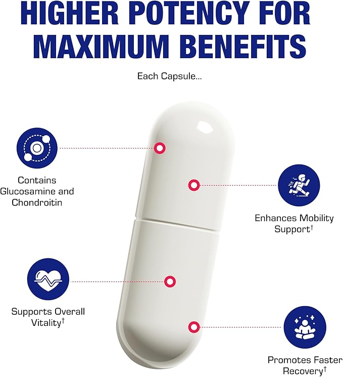 Nutra Disc &amp Joint Support Supplement - Clinically Formulated Restorative Cartilage Ligament and Tendon Supplement with Patented Meriva Curcumin &amp Glucosamine and Chondroitin for Adults - 45 S
