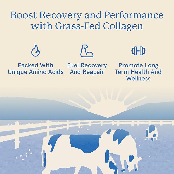 Equip Foods Grass Fed Collagen Powder | Hydrolyzed Bovine Collagen Peptides with Amino Acids | Prime Beef Collagen for Healthy Joints Skin &amp Nails | Non-GMO Paleo Friendly | 30 Servings Unflavo