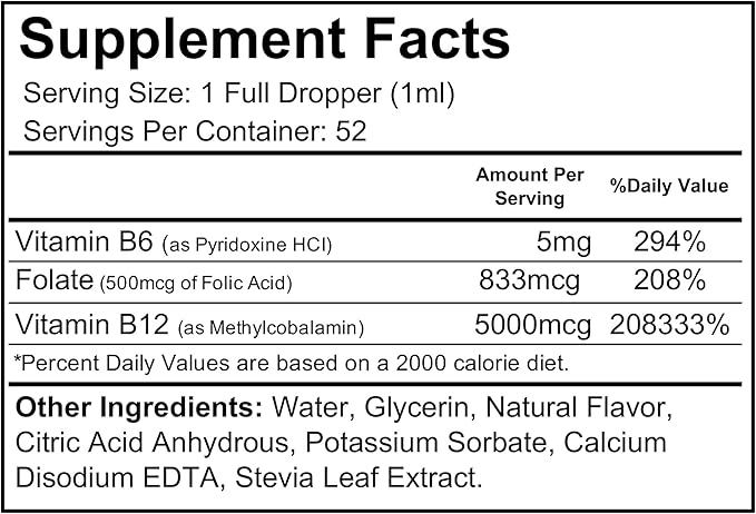 Wellgenix B12 Max Liquid - Vitamin B6 B12 &amp Folate-High Absorption - Cardiovascular Health Mental Clarity Energy Boost &amp Weight Loss - 1.75oz 2 Pack