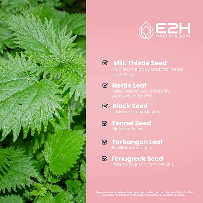 E2H Breastfeeding Supplement and Lactation Support - Liquid Lactation Supplement - Contains Fenugreek Milk Thistle Fennel and More - No Alcohol - Vegan - 2 Fl Oz