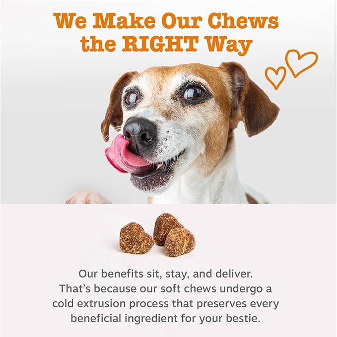 Zesty Paws Dog Multivitamin Chewable Dog Vitamins and Supplements for Hip &amp Joints Skin &amp Coat Omega 3 Fish Oil for Dogs- Senior &amp Puppy Multivitamin- Peanut Butter- 50ct