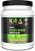 Vegan Protein Powder Gourmet Strawberries &amp Cream Flavor- 21g of The Best Tasting Plant-Based Protein with only 120 Calories - USDA Organic Non-GMO Gluten Free Sugar Free - 640g