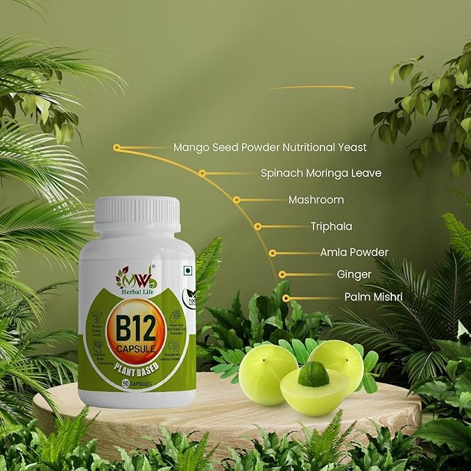Plant Based Vitamin B12 Capsules | 90 Veg Capsules | Energy Booster | Immunity Support | Nerve and Brain Health | Vegan Supplement