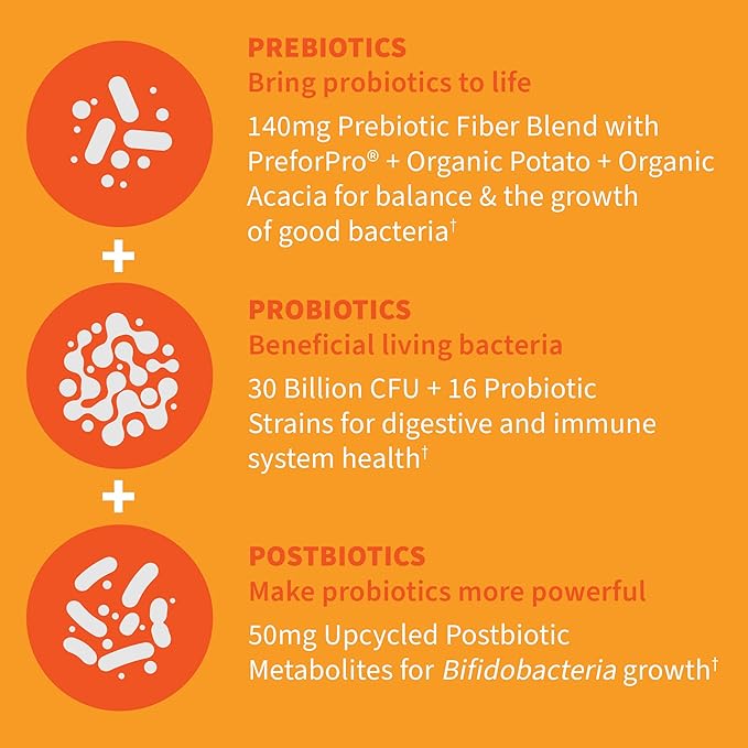 Garden of Life Dr Formulated Once Daily Complete Prebiotics Probiotics &amp Postbiotics for Women's &amp Adults' Digestive &amp Immune Health 50 &amp 30 Billion CFU 30 Day Supply