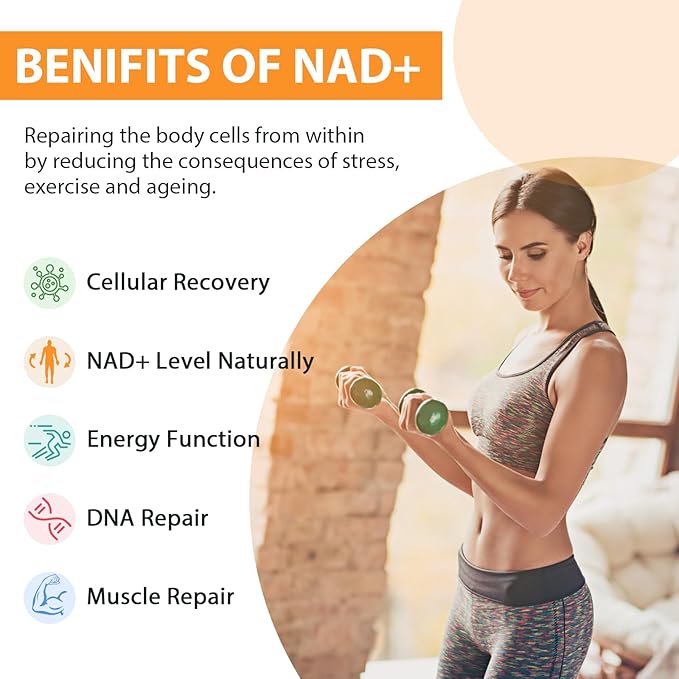 Orgabay Liposomal NAD+ Supplement 500 mg High Absorption Boost NAD+ with TMG 250 mg Actual NAD Plus More Efficient Than Nicotinamide Riboside Support Cellular Energy Healthy Aging | 60 Softgels