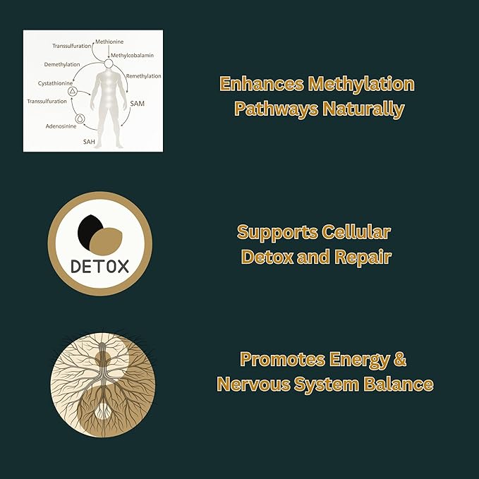 Methylation Support Cream – Vitamin B12 B6 B2 with Zinc Magnesium Tyrosine &amp Selenium | Energy Focus &amp Homocysteine Balance | Methylation Shift 4 oz – King &amp Queen Wellness