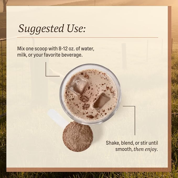 Men’s Whey Protein Powder Chocolate Grass Fed A2 Regenerative Whey with KSM-66 Ashwagandha® &amp Acti Veda™ (22g Protein)