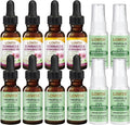 LOVITA 12-Pack Bulk Defense Bundle - 4 Each of Propolis Drops Throat Spray &amp Echinacea Liquid Herbal Immune Kit (12 Pc)