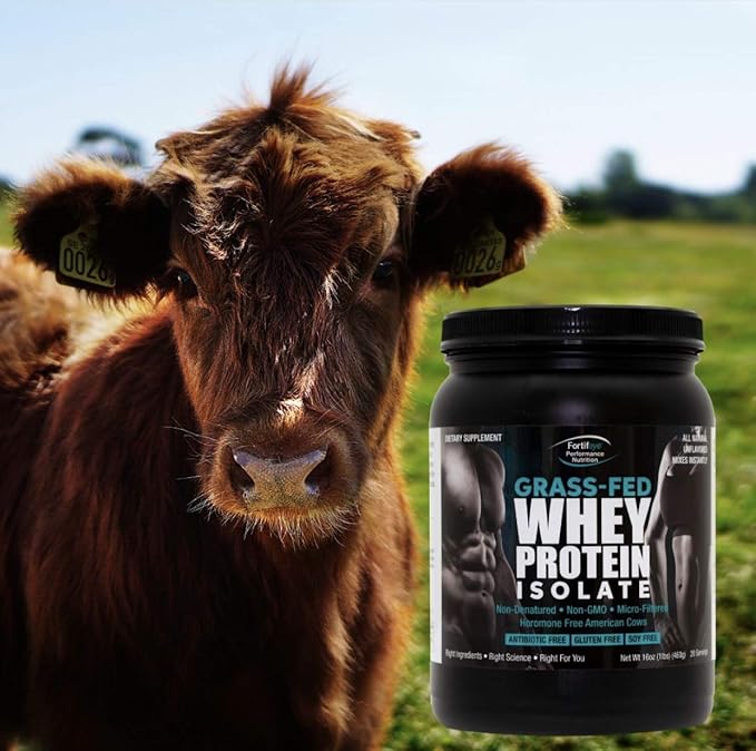 Fortifeye Super New Zealand Grass Fed Whey Protein Dark Chocolate Fudge Flavor 60 Servings 1 Pack - Non-Denatured Organic Grass Fed Whey Protein Powder Chocolate for Workout Sports &amp Immune Sys