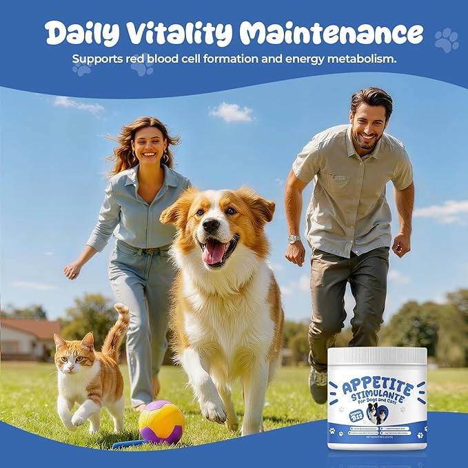 Appetite Stimulant Powder for Dogs &amp Cats Vitamin B12 Supplement with Methylcobalamin Supports Appetite Energy &amp Daily Vitality Dietary Supplement for Pets