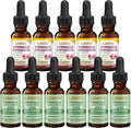 LOVITA 11-Pack Stock Up Bundle - 6 Propolis &amp 5 Echinacea Liquid Extracts High Potency Bee Propolis &amp Elderberry Blend (11 Pc)