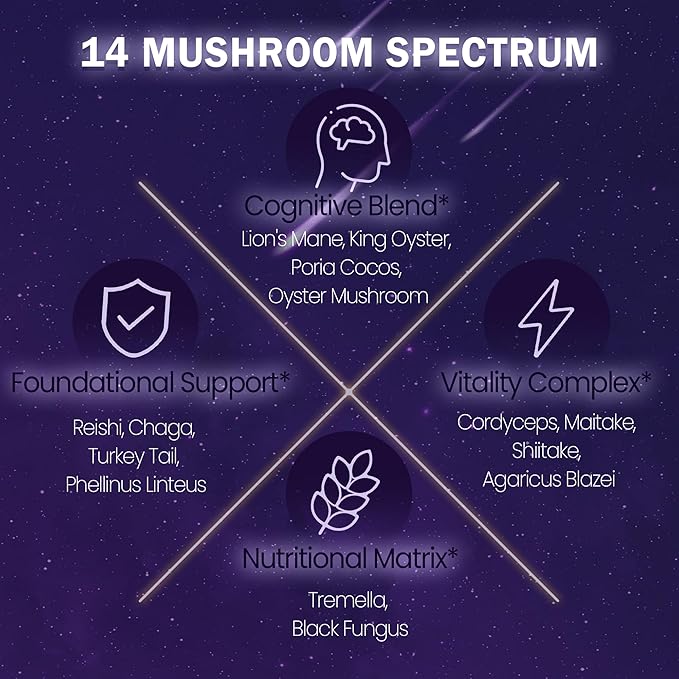 Mushroom Hot Cocoa Melatonin-Free Natural Herbal Sleep Powder with Jujube Seed Magnesium Glycinate GABA L-Theanine &amp 14 Mushroom Extracts | Calm Relaxation &amp Immune | hot chocolate 30 Se