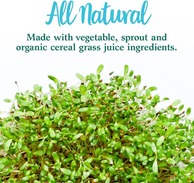 Garden of Life Perfect Food Super Green Formula - 30 Servings 45 Superfoods Greens Fruit and Veggie Juice Superfood Powder Supplement Probiotics Organic Spirulina for Digestion and Immune Health