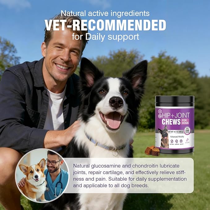 Glucosamine for Dogs 200pcs Joint Support Supplement Dog Hip and Joint Chondroitin Chews Treats with MSM Hemp Dog Joint Pain Relief Mobility Supplements Bacon Flavor Fit All Large Small Medium Breed