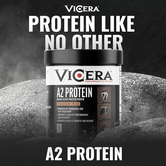 A2 Protein Powder Chocolate Milk 25 G Protein per Serving Organic A2/A2 Whey Casein Blend with Probiotics and Celtic Sea Salt Gluten Free Workout Supplement Non GMO 20 Servings 27.4 Oz