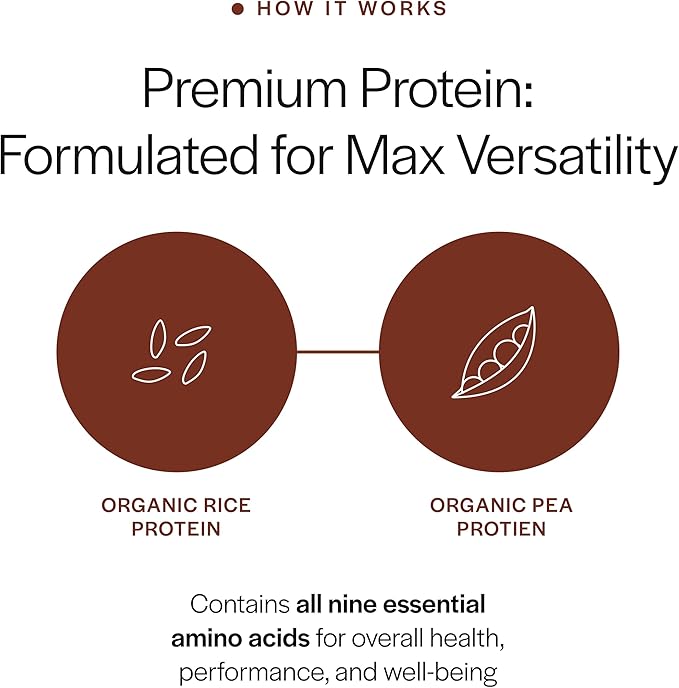 Gainful Everyday Plant Protein Powder &amp Sweet Treat Flavor Bundle 23g Plant Protein Supports Strength Recovery and Balanced Nutrition Vegan Gut Friendly 14 Servings + 14 Flavor Sticks