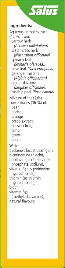 Floradix Vitamin B Complex Liquid Formula 250 ml