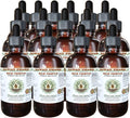 Hawaii Pharm Milk Thistle Alcohol-Free Liquid Extract Professional Grade Small Batch Milk Thistle (Silybum marianum) Dried Seed Glycerite 15x4 oz