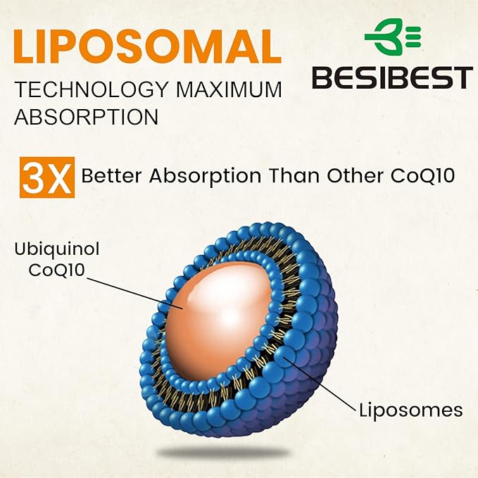 1000mg Liposomal CoQ10 Ubiquinol 240 Vegan Softgels High Absorption Ubiquinol CoQ10 Supplement Active Antioxidant Form of Coenzyme Q10 for Heart Function &amp Energy Production