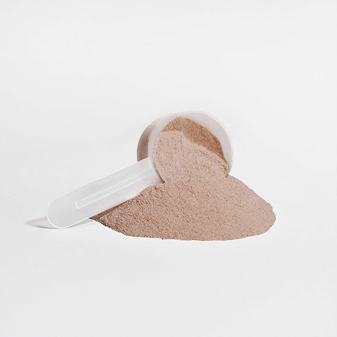 ASCEND™ Plant Protein (Chocolate)