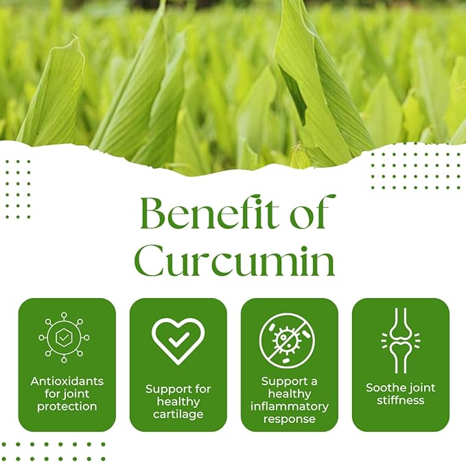 Turmeric Curcumin 750mg Natural Support for Joint – Non-GMO – 60 Capsules
